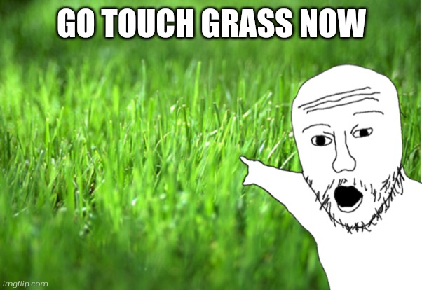 grass is greener | GO TOUCH GRASS NOW | image tagged in grass is greener | made w/ Imgflip meme maker