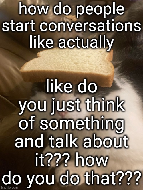 bread cat | how do people start conversations like actually; like do you just think of something and talk about it??? how do you do that??? | image tagged in bread cat | made w/ Imgflip meme maker