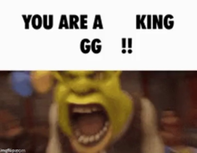 YOU ARE A KING GG !! | image tagged in you are a king gg | made w/ Imgflip meme maker