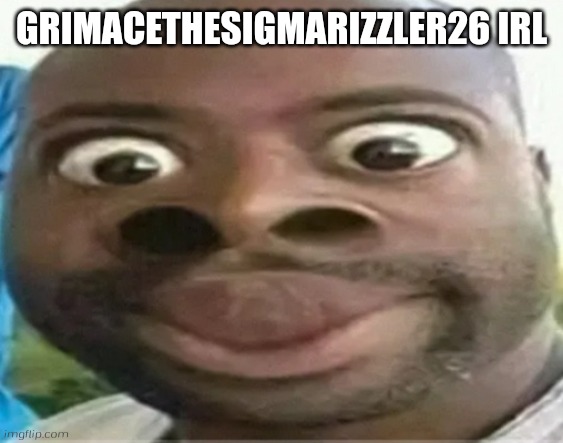 *insert skibiditard toilet fans* In real life | GRIMACETHESIGMARIZZLER26 IRL | image tagged in insert skibiditard toilet fans in real life,irl,in real life,skibidi toilet | made w/ Imgflip meme maker