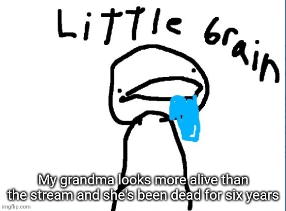 My grandma looks more alive than the stream and she's been dead for six years | made w/ Imgflip meme maker