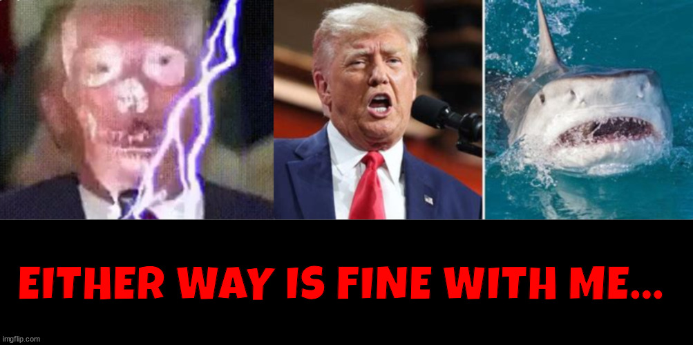Electric shark jump? | EITHER WAY IS FINE WITH ME... | image tagged in maga mako,trump cuted,jaws,maganets,maga morons,trump the incompetent | made w/ Imgflip meme maker