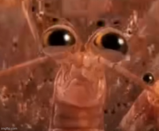 Krillion face | image tagged in krillion face | made w/ Imgflip meme maker