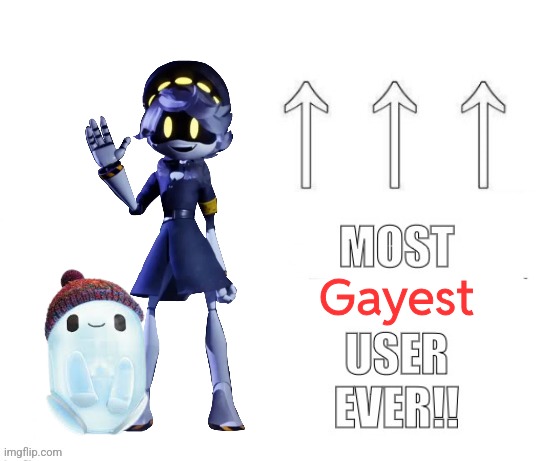 The most user ever | Gayest | image tagged in the most user ever | made w/ Imgflip meme maker