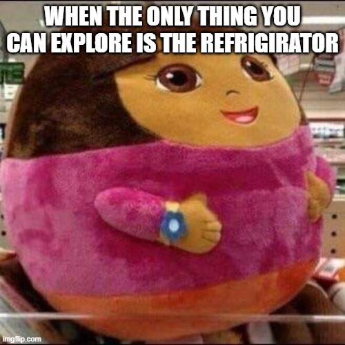 Fat Dora | WHEN THE ONLY THING YOU
CAN EXPLORE IS THE REFRIGIRATOR | image tagged in fat dora | made w/ Imgflip meme maker