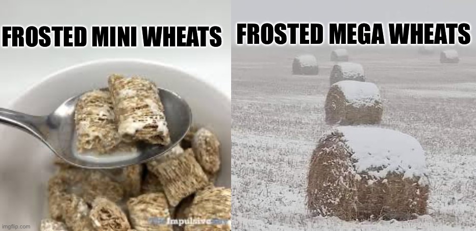Frosted mini wheats | FROSTED MEGA WHEATS; FROSTED MINI WHEATS | image tagged in frosted flakes,mega,breakfast | made w/ Imgflip meme maker