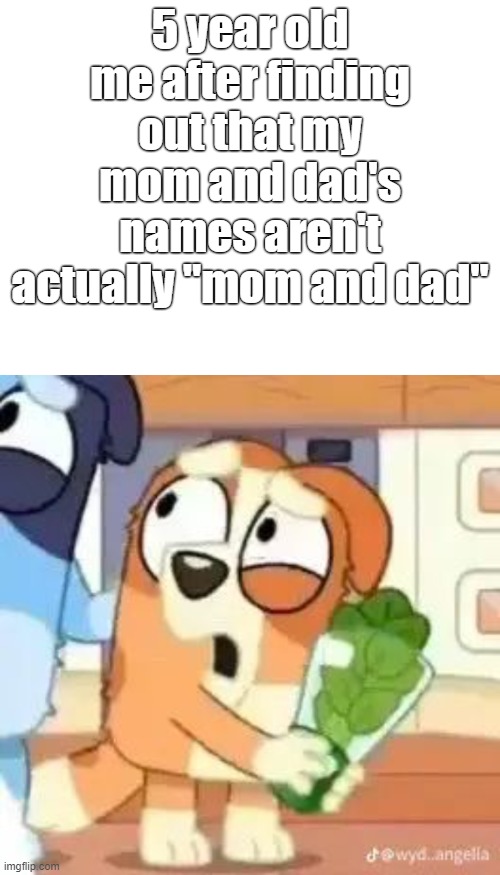 Whaaa- | 5 year old me after finding out that my mom and dad's names aren't actually "mom and dad" | image tagged in bluey,bingo,my life is falling apart bingo,parents,disturbed,my dissapointment is immeasurable and my day is ruined | made w/ Imgflip meme maker