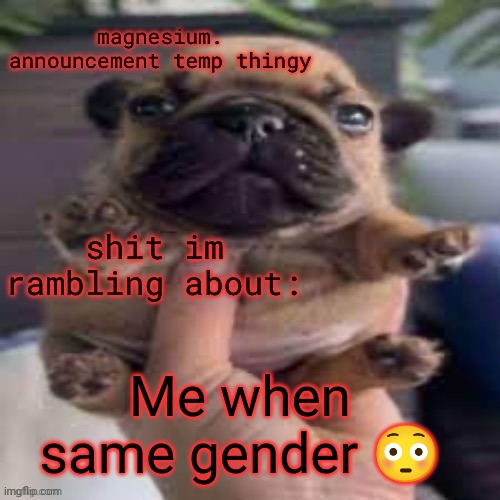 pug temp | Me when same gender 😳 | image tagged in pug temp | made w/ Imgflip meme maker