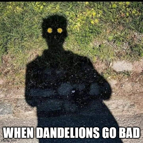 When dandelions go bad | WHEN DANDELIONS GO BAD | image tagged in durlearl | made w/ Imgflip meme maker