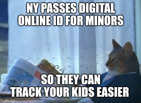 I Should Buy A Boat Cat | NY PASSES DIGITAL ONLINE ID FOR MINORS; SO THEY CAN TRACK YOUR KIDS EASIER | image tagged in memes,i should buy a boat cat | made w/ Imgflip meme maker
