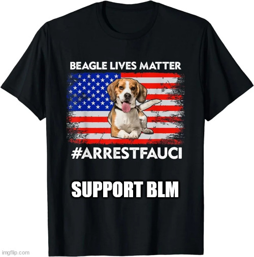 Support BLM... Arrest Fauci | SUPPORT BLM | image tagged in blm,arrest fauci | made w/ Imgflip meme maker