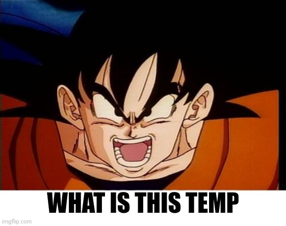 Crosseyed Goku Meme | WHAT IS THIS TEMP | image tagged in memes,crosseyed goku | made w/ Imgflip meme maker