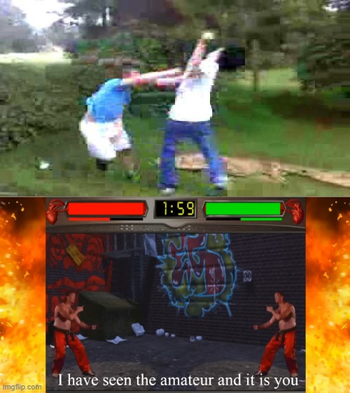 stupid style dweeb stance fight | image tagged in i have seen the amateur,hadouken,worst fight,no mercy,versus,idiots | made w/ Imgflip meme maker