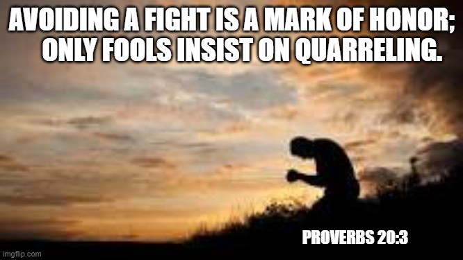praying | AVOIDING A FIGHT IS A MARK OF HONOR;
    ONLY FOOLS INSIST ON QUARRELING. PROVERBS 20:3 | image tagged in praying,wisdom | made w/ Imgflip meme maker
