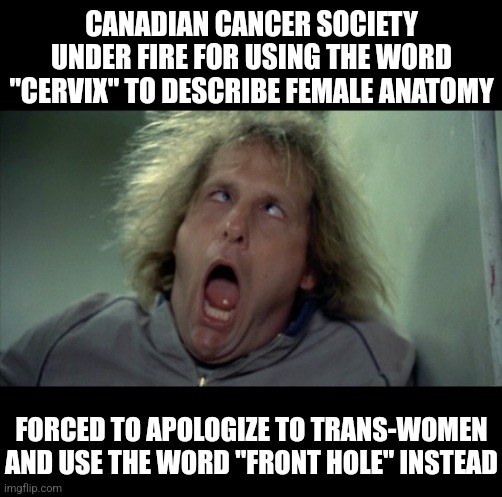 So ladies, still happy to support insane men in dresses? Be sure to have regular checkups to prevent front hole cancer! | CANADIAN CANCER SOCIETY UNDER FIRE FOR USING THE WORD "CERVIX" TO DESCRIBE FEMALE ANATOMY; FORCED TO APOLOGIZE TO TRANS-WOMEN AND USE THE WORD "FRONT HOLE" INSTEAD | image tagged in transgender,political correctness,insanity,liberal logic,i'm tired of pretending it's not,liberal hypocrisy | made w/ Imgflip meme maker