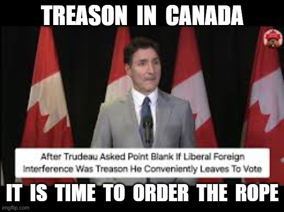 TREASON  IN  CANADA; IT  IS  TIME  TO  ORDER  THE  ROPE | image tagged in justin trudeau,treason,election interference,communist china | made w/ Imgflip meme maker