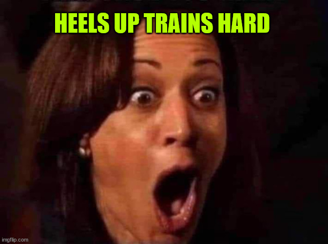According to the wackos... the proper name now is Upper Front Hole | HEELS UP TRAINS HARD | image tagged in kamala,expert,upper front hole | made w/ Imgflip meme maker
