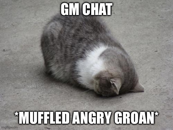 Asdfghjkl- | GM CHAT; *MUFFLED ANGRY GROAN* | image tagged in face down cat | made w/ Imgflip meme maker