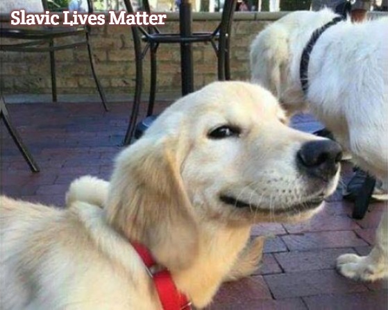 dog smiling | Slavic Lives Matter | image tagged in dog smiling,slavic | made w/ Imgflip meme maker