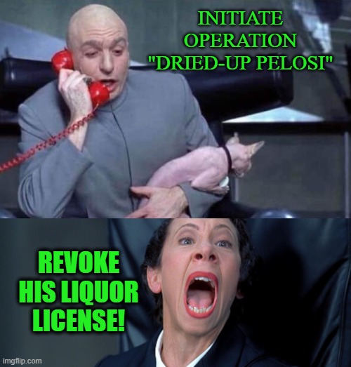 Dr Evil and Frau | INITIATE OPERATION "DRIED-UP PELOSI"; REVOKE HIS LIQUOR LICENSE! | image tagged in dr evil and frau | made w/ Imgflip meme maker