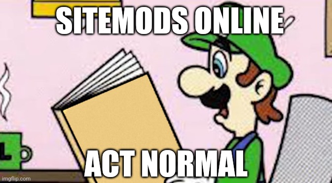 Luigi reading a good book | SITEMODS ONLINE; ACT NORMAL | image tagged in luigi reading a good book | made w/ Imgflip meme maker