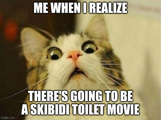 Scared Cat | ME WHEN I REALIZE; THERE'S GOING TO BE A SKIBIDI TOILET MOVIE | image tagged in memes,scared cat | made w/ Imgflip meme maker