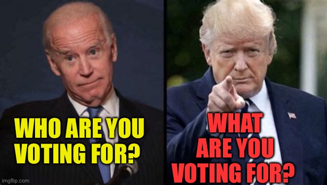 Four more years. It’s your choice which four? | WHAT ARE YOU VOTING FOR? WHO ARE YOU VOTING FOR? | image tagged in gifs,president,trump,choice | made w/ Imgflip meme maker