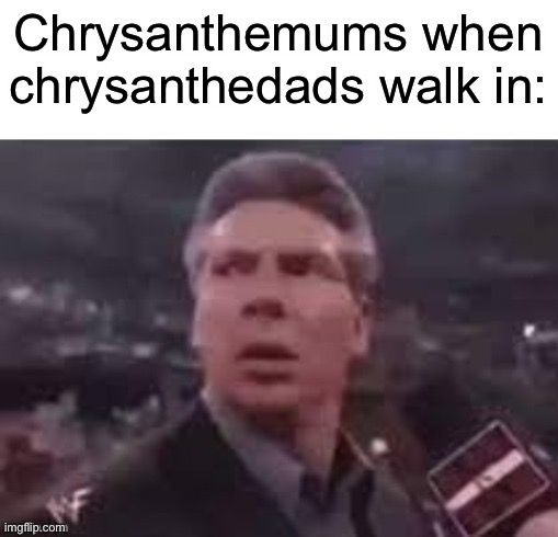 x when x walks in | Chrysanthemums when chrysanthedads walk in: | image tagged in x when x walks in | made w/ Imgflip meme maker