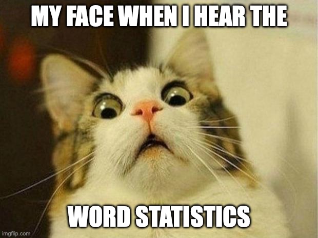 My thoughts on Statistics | MY FACE WHEN I HEAR THE; WORD STATISTICS | image tagged in memes,scared cat | made w/ Imgflip meme maker