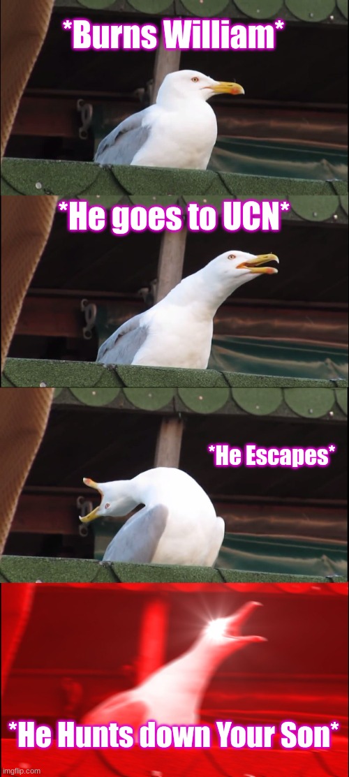 Michael in SB: | *Burns William*; *He goes to UCN*; *He Escapes*; *He Hunts down Your Son* | image tagged in memes,inhaling seagull,why are you reading the tags,stop | made w/ Imgflip meme maker