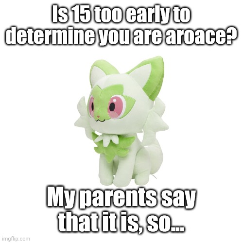 Just so we're clear about the age, my birthday is in about 2 weeks. | Is 15 too early to determine you are aroace? My parents say that it is, so... | image tagged in sprigatito plush,inquiry | made w/ Imgflip meme maker