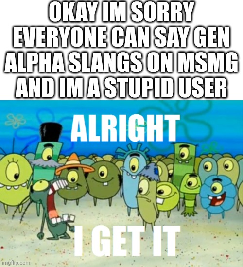 I get it | OKAY IM SORRY EVERYONE CAN SAY GEN ALPHA SLANGS ON MSMG AND IM A STUPID USER | image tagged in alright i get it | made w/ Imgflip meme maker