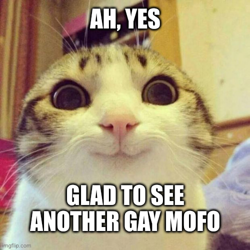 Smiling Cat Meme | AH, YES; GLAD TO SEE ANOTHER GAY MOFO | image tagged in memes,smiling cat | made w/ Imgflip meme maker