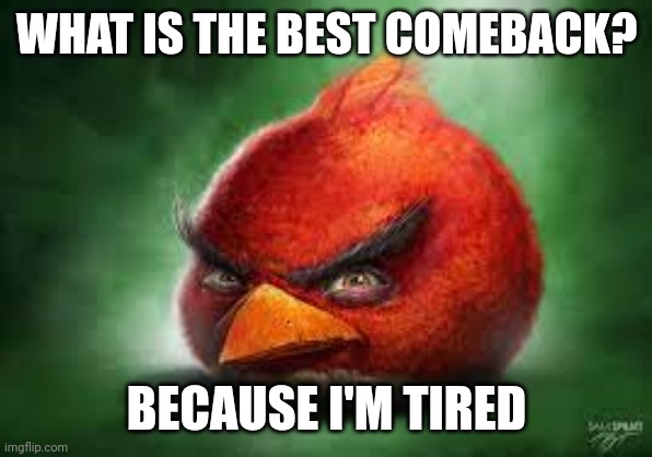 Realistic Red Angry Birds | WHAT IS THE BEST COMEBACK? BECAUSE I'M TIRED | image tagged in realistic red angry birds | made w/ Imgflip meme maker