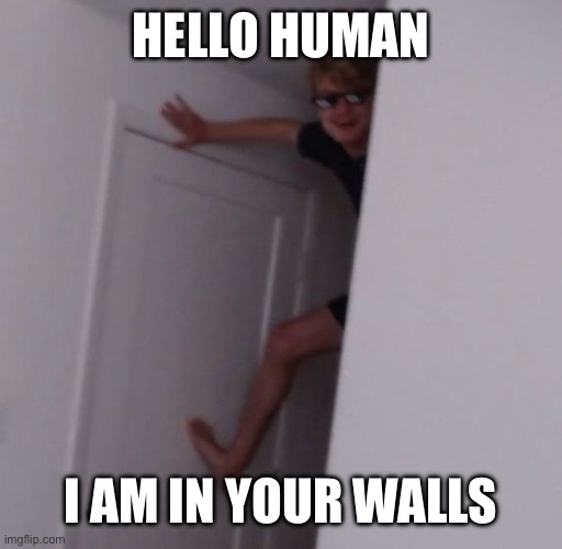 Tommy in your walls | HELLO HUMAN; I AM IN YOUR WALLS | image tagged in tommyinnit | made w/ Imgflip meme maker