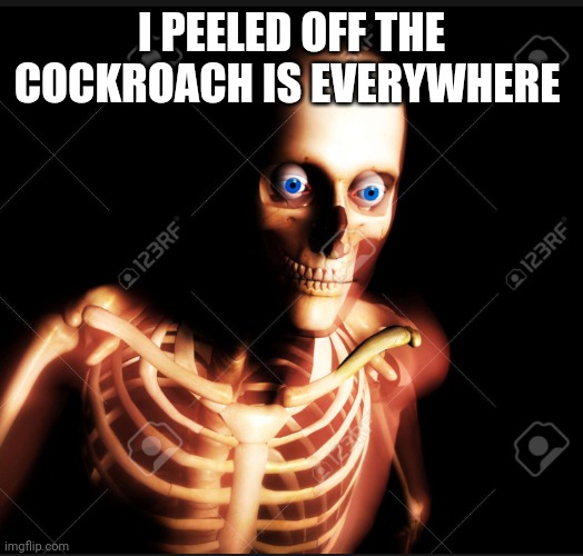 Skin peeled | I PEELED OFF THE COCKROACH IS EVERYWHERE | image tagged in skin peeled | made w/ Imgflip meme maker