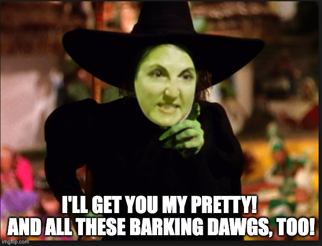 I'LL GET YOU MY PRETTY!  AND ALL THESE BARKING DAWGS, TOO! | image tagged in wicked witch of the west | made w/ Imgflip meme maker