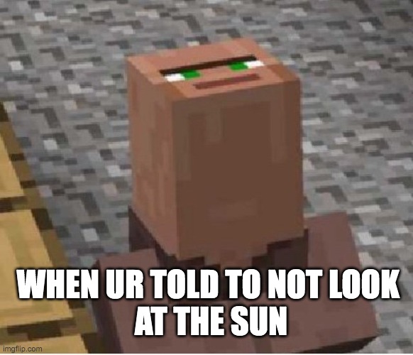sun mah boi | WHEN UR TOLD TO NOT LOOK 
AT THE SUN | image tagged in minecraft villager looking up | made w/ Imgflip meme maker