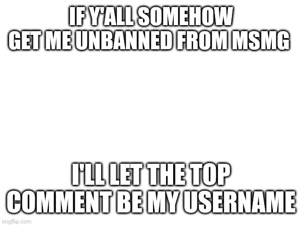 Start a petition or somethin | IF Y'ALL SOMEHOW GET ME UNBANNED FROM MSMG; I'LL LET THE TOP COMMENT BE MY USERNAME | made w/ Imgflip meme maker