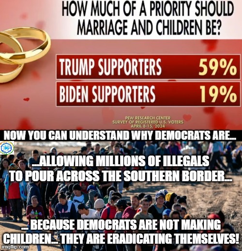 politics | ...ALLOWING MILLIONS OF ILLEGALS TO POUR ACROSS THE SOUTHERN BORDER... ... BECAUSE DEMOCRATS ARE NOT MAKING CHILDREN... THEY ARE ERADICATING THEMSELVES! | image tagged in political meme | made w/ Imgflip meme maker