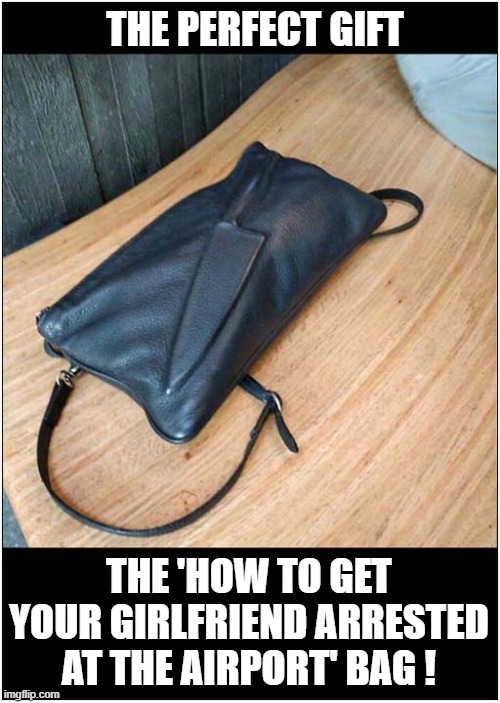 When You Want Some 'Alone' Time ! | THE PERFECT GIFT; THE 'HOW TO GET YOUR GIRLFRIEND ARRESTED AT THE AIRPORT' BAG ! | image tagged in girlfriend,airport security,knife,arrested,dark humour | made w/ Imgflip meme maker