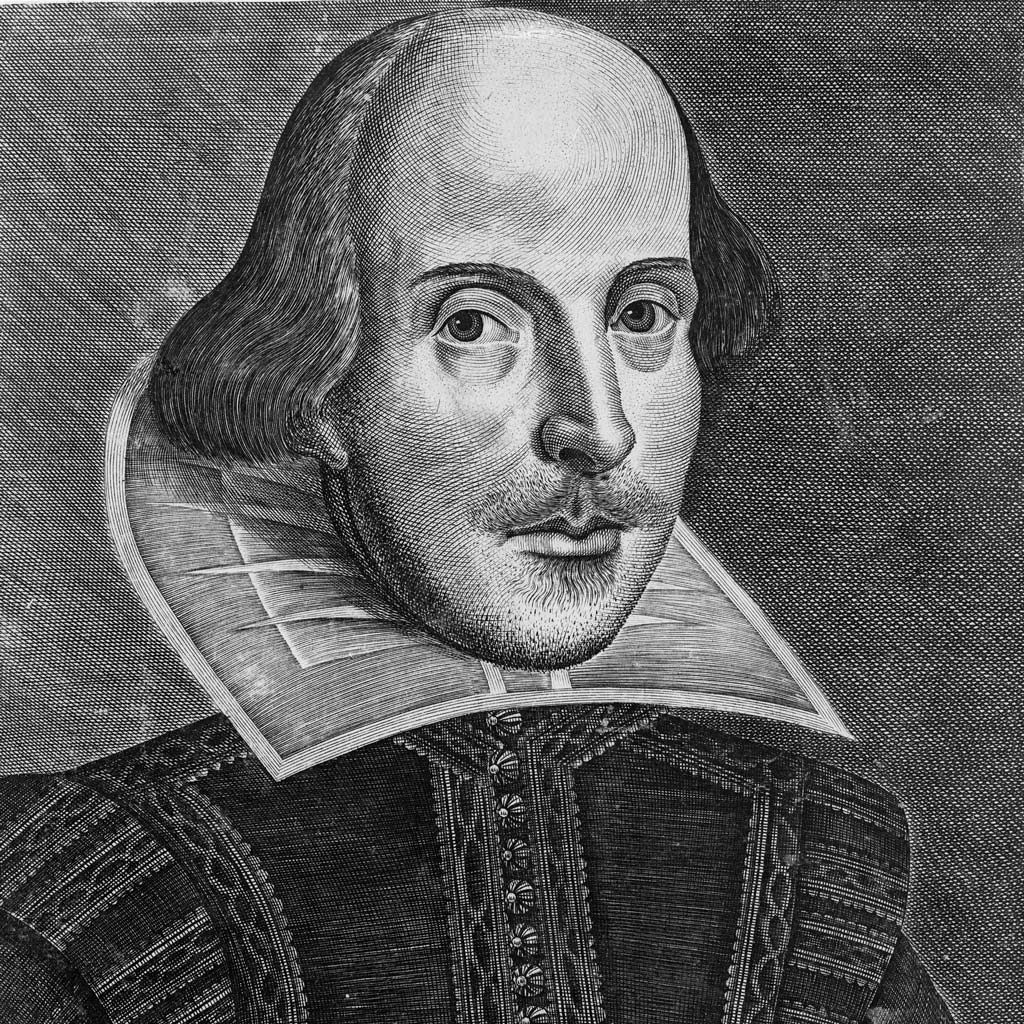 Shakespeare in Disbelief Blank Meme Template