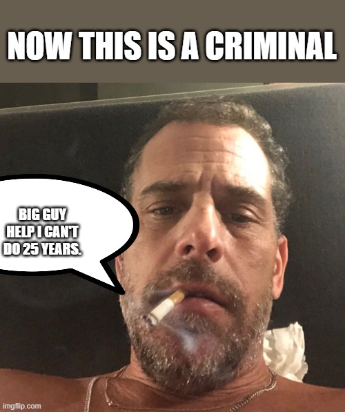 Guilty on all counts. Well atleast 1 jury worked. Joe will pardon. | NOW THIS IS A CRIMINAL; BIG GUY HELP I CAN'T DO 25 YEARS. | image tagged in hunter biden | made w/ Imgflip meme maker