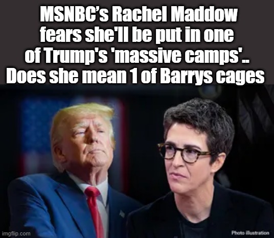 MAYBE she can bunk with Hunter ? | MSNBC’s Rachel Maddow fears she'll be put in one of Trump's 'massive camps'.. Does she mean 1 of Barrys cages | made w/ Imgflip meme maker