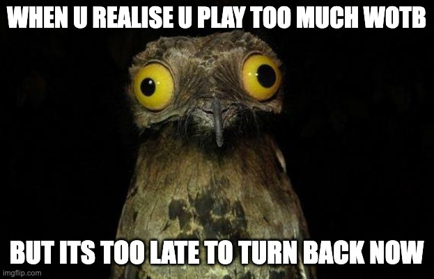 dont  play wotb | WHEN U REALISE U PLAY TOO MUCH WOTB; BUT ITS TOO LATE TO TURN BACK NOW | image tagged in memes,weird stuff i do potoo,wotb,games | made w/ Imgflip meme maker