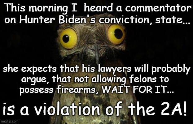 Now they are 2A supporters! | This morning I  heard a commentator on Hunter Biden's conviction, state... she expects that his lawyers will probably
argue, that not allowing felons to 
possess firearms, WAIT FOR IT... is a violation of the 2A! | image tagged in memes,weird stuff i do potoo,hunter,2a | made w/ Imgflip meme maker
