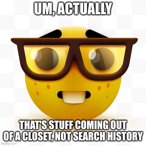 Nerd emoji | UM, ACTUALLY THAT'S STUFF COMING OUT OF A CLOSET, NOT SEARCH HISTORY | image tagged in nerd emoji | made w/ Imgflip meme maker