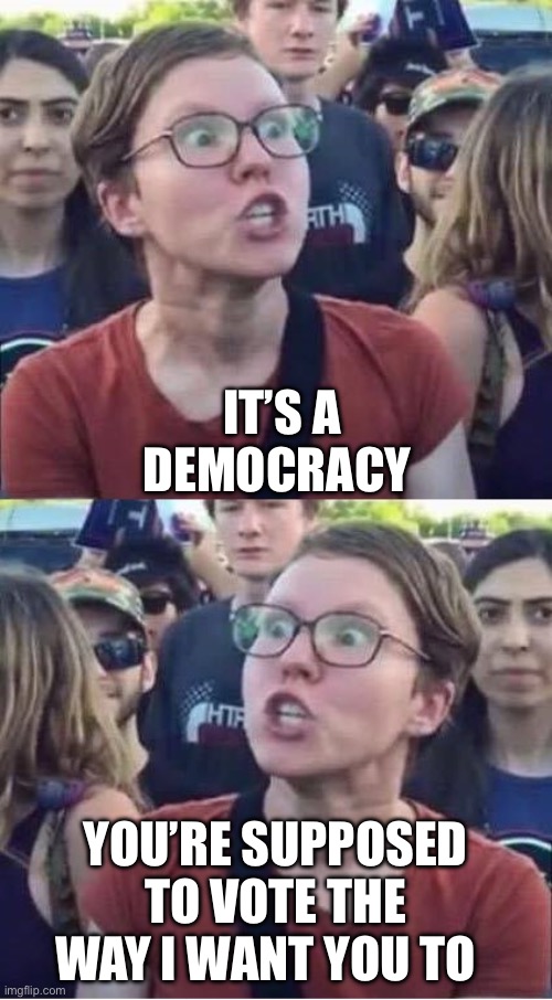 Typical liberal | IT’S A DEMOCRACY; YOU’RE SUPPOSED TO VOTE THE WAY I WANT YOU TO | image tagged in angry liberal hypocrite,democrats,democracy | made w/ Imgflip meme maker