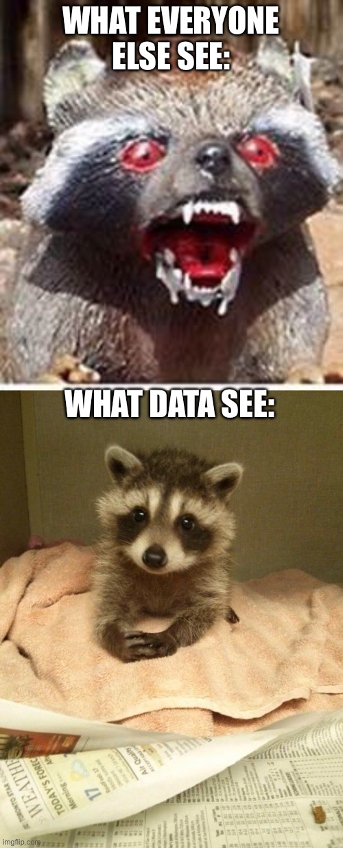 WHAT EVERYONE ELSE SEE: WHAT DATA SEE: | image tagged in rabid racoon,racoon | made w/ Imgflip meme maker