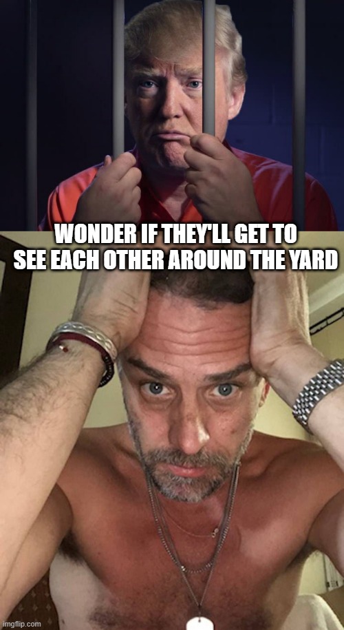 Don and Hunter, Guilty | WONDER IF THEY'LL GET TO SEE EACH OTHER AROUND THE YARD | image tagged in trump in jail,sad hunter biden | made w/ Imgflip meme maker